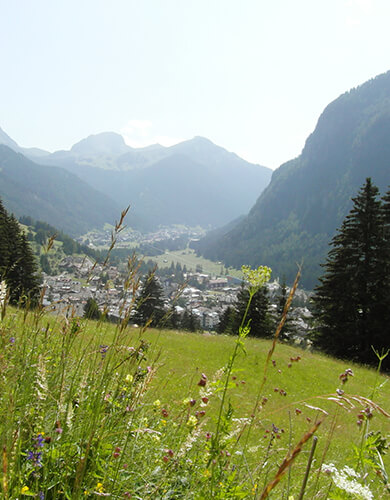 - 26 Apartamentos Campitello di Fassa - 2 Residencias Campitello di Fassa