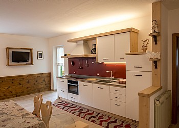 Apartment in Canazei. KITCHEN WITH DISHWASHER AND ELECTRIC HOTPLATE.