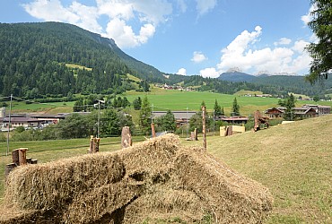 Sport & Fun in Moena - Gallery - Photo ID 1314