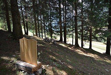 Sport & Fun in Moena - Gallery - Photo ID 1318