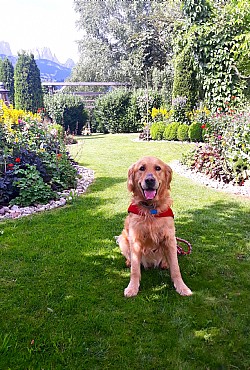 Hotel 3 stars S in Moena - External - Photo ID 1382