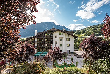 Hotel 3 stars S in Moena - External - Photo ID 1383