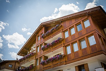 Hotel 3 stelle S a Moena - Estate - ID foto 1427