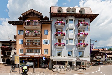 Apartments in Moena - Summer - Photo ID 1453