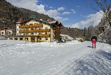 Hotel 3 stars in Moena - Winter - Photo ID 1518
