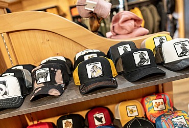 Clothing stores in Moena - External - Photo ID 1589