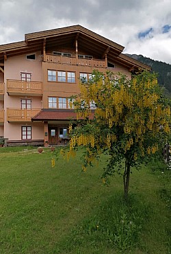 Apartments in Moena - External - Photo ID 1811