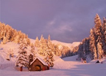 Rentals in Moena - Gallery - Photo ID 438