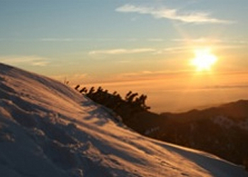 Rentals in Moena - Gallery - Photo ID 439