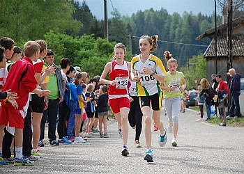 Sportive a Moena - Gallery - ID foto 833