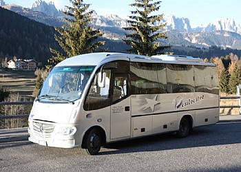 Taxi a Moena - Gallery - ID foto 886