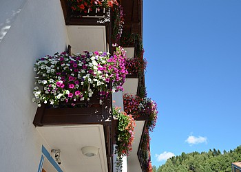 Hotel 3 stars in Moena - External - Photo ID 936