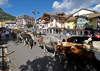 Festival del Puzzone 2