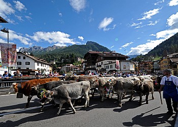 Festival del Puzzone