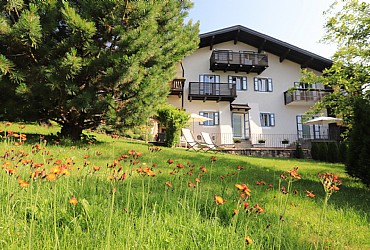 Apartamentos Soraga di Fassa: Alice appartamenti - Alice Ghetta