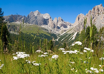 Services San Giovanni di Fassa - Vigo: Centro Escursioni Catinaccio Rosengarten