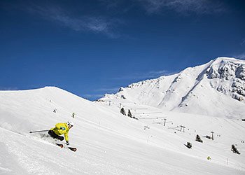 Ski Center Latemar - Predazzo
