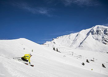 Services Predazzo: Ski Center Latemar