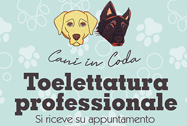 Services Moena: Cani in coda