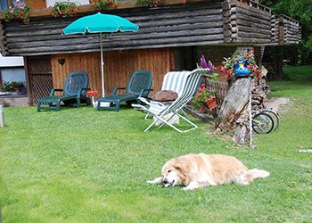 Wohnung - Alba di Canazei - Garten - Photo ID 1319