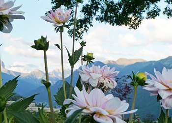Apartamncie - San Giovanni di Fassa - Vigo - Garden - Photo ID 1561