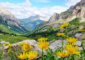 Residences in San Giovanni di Fassa - Pera - Scenery - Photo ID 1625