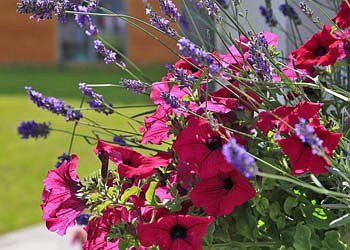 Appartamento a Canazei - Estate - ID foto 1701