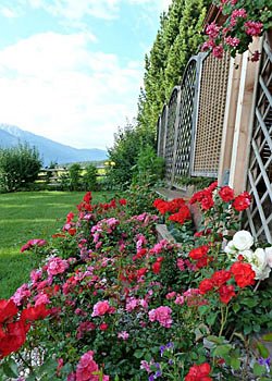 Apartamncie - San Giovanni di Fassa - Vigo - Garden - Photo ID 1709
