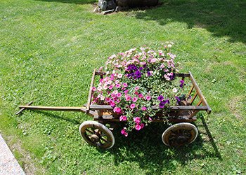 Appartamento a Alba di Canazei - Giardino - ID foto 1734