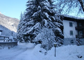 Appartamento a Campitello di Fassa. vacanze in Valle di Fassa
Vieni a trascorrere un breve periodo nella nostra Valle : troverai colori profumi e relax
Siamo aperti tutto l'anno e vi accogliamo con piacere
Abbiamo appartamenti nei paesi di Campitello e di Mazzin di Fassa