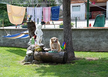 Appartamento a Alba di Canazei - Giardino - ID foto 1852