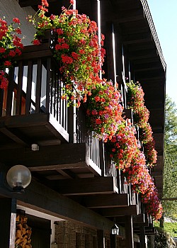 Residence a Canazei - Estate - ID foto 1984