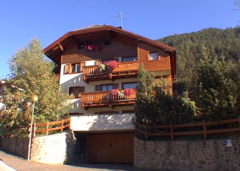 Apartment in Moena - Summer - Photo ID 202