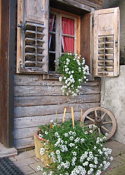 Apartment in Moena - Garden - Photo ID 2118