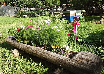 Wohnung - Moena - Garten - Photo ID 2159