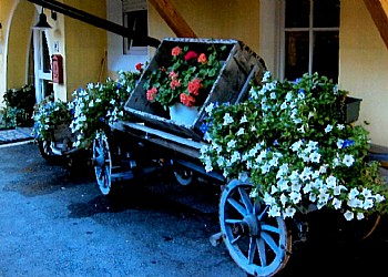 Apartmaju - Canazei - Zunanje poletje - Photo ID 2191