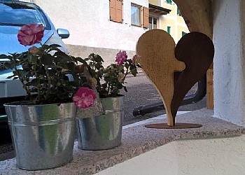 Le Rose - 