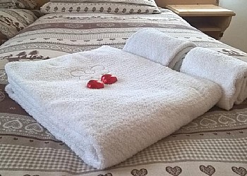 Le Rose - 