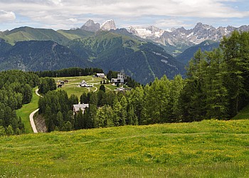 Centro Escursioni Catinaccio Rosengarten - Centro Escursioni Catinaccio Rosengarten 
Altopiano del Ciampedie
Vigo di Fassa