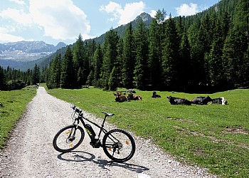 Appartamento a Campitello di Fassa. Estate in Val di Fassa