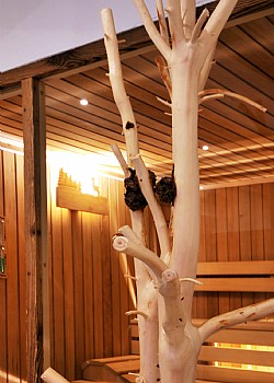 Residence Lasté - 