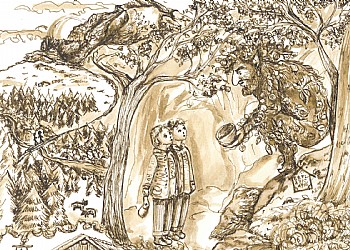 Servizi a  - Gallery - ID foto 2454