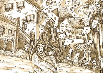 Servizi a  - Gallery - ID foto 2455