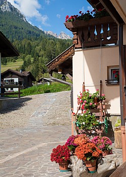 Appartamento a Moena - Panorama - ID foto 2476