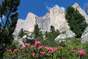 Appartamento a San Giovanni di Fassa - Vigo - Varie - ID foto 2514