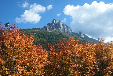 Appartamento a San Giovanni di Fassa - Vigo - Varie - ID foto 2515