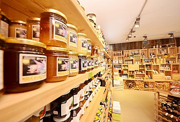 Services - San Giovanni di Fassa - Pozza - Gallery - Photo ID 2582