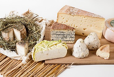 Casa del formaggio / L Malghèr - San Giovanni di Fassa - Pozza