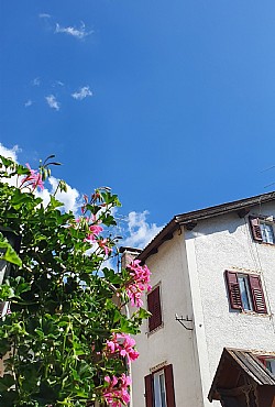 Wohnung - San Giovanni di Fassa - Pozza - Landschaft - Photo ID 2675