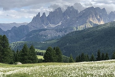 Wohnung - Moena - Verschiedenes - Photo ID 2761